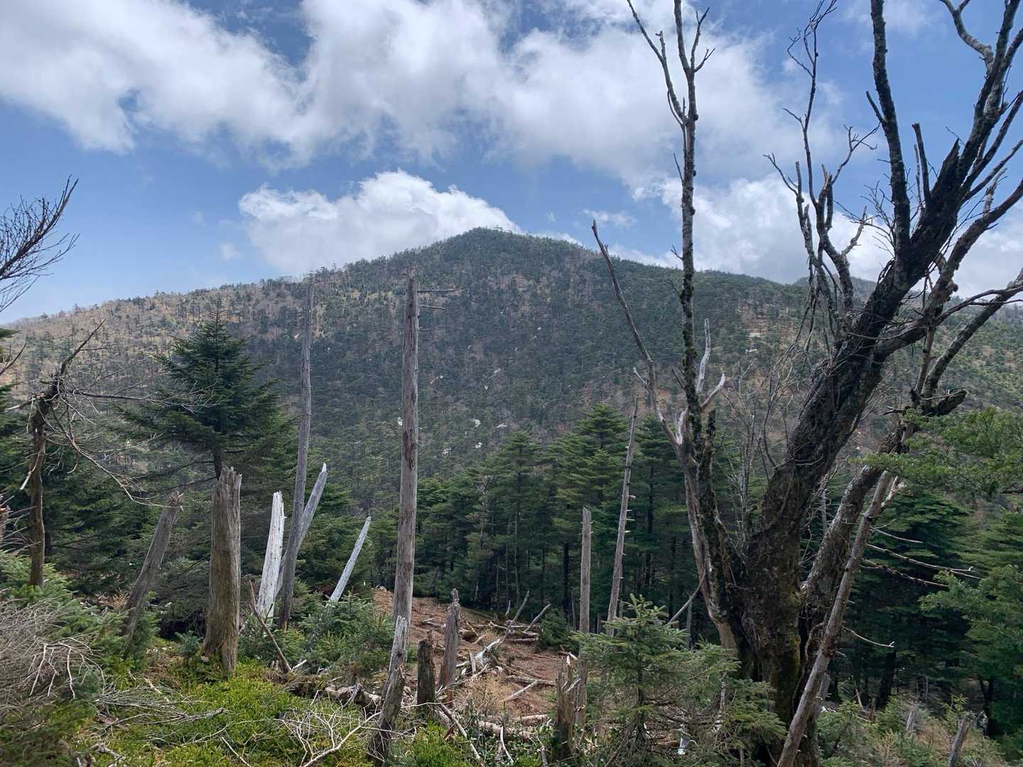 八経ヶ岳
天気が回復するまで待ったかいがありました

山頂に多くの人がいるのを目視できます
素晴らしい景色を見ているのかなぁ
羨ましい😇
