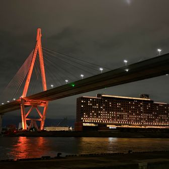 都会の夜ですね