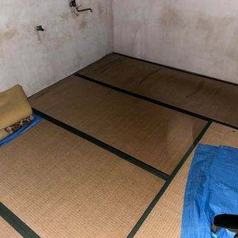 VIPルーム貸切🎊しかも無料🎉

完全なる勝利宣言‼️ゴキブリの死骸🪳、ヒルの死骸🪱が愛おしく見えます💕
外でのビバークではなく暖かい室内です💮
ダウンジャケット、ダウンパンツ、ダウンソックスのビバーク御三家セットとmuraco のシュラフカバーは持って来たので完璧です🫰
ただ、ほっとしたのでアドレナリンが切れて滑落の激痛と筋トレの全身筋肉痛な眠れぬ夜を過ごしました♪立ち上がれない、寝返りも打てない、ものが噛めない🥲でも生きる喜びを感じながら明日の雨山峠が登れるか？どのくらい時間がかかるのか？明るいうちに寄大橋へ着くのか？をずーっと考えてたら朝になりました☀️鼻の穴にティッシュを詰めたらようやく鼻血が止まりました🩸

ダウンロードしてあるポッドキャストのラジオ小説、沢木耕太郎の『凍』をスピーカーで鳴らしながら「山野井夫婦は凄えなぁ？俺なら1日目で即死の冷凍ミイラだな？」と
200回以上聴いてる⭐️⭐️⭐️⭐️⭐️番組‼️