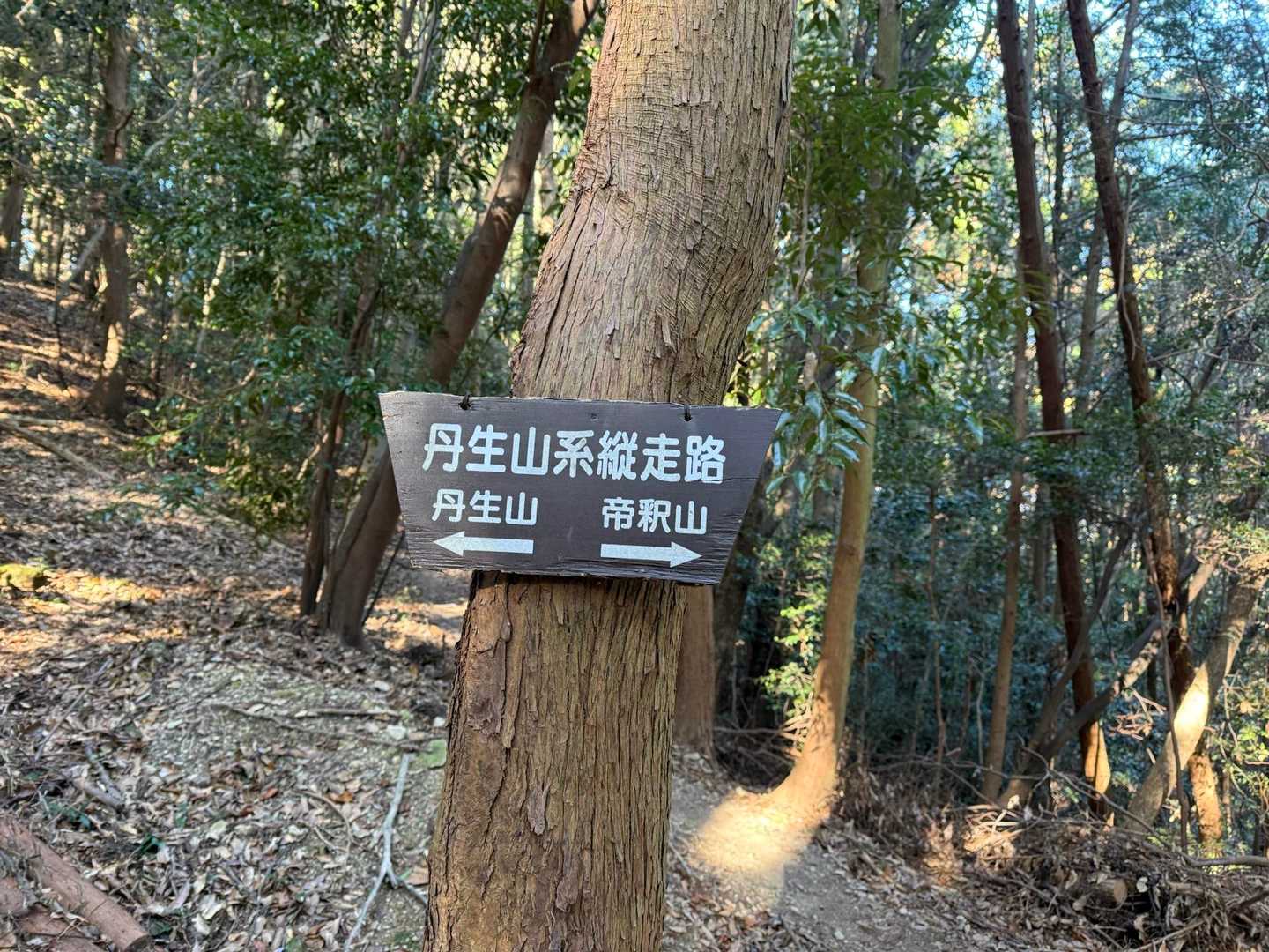 丹生神社-丹生山-帝釈山-朝日山-北山 周回コースの写真