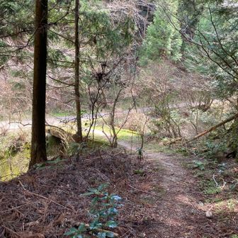 この先で現役林道に合流。
歩いていた時は、ひと少な！と、思ってました。マイナールートでした(;^_^A