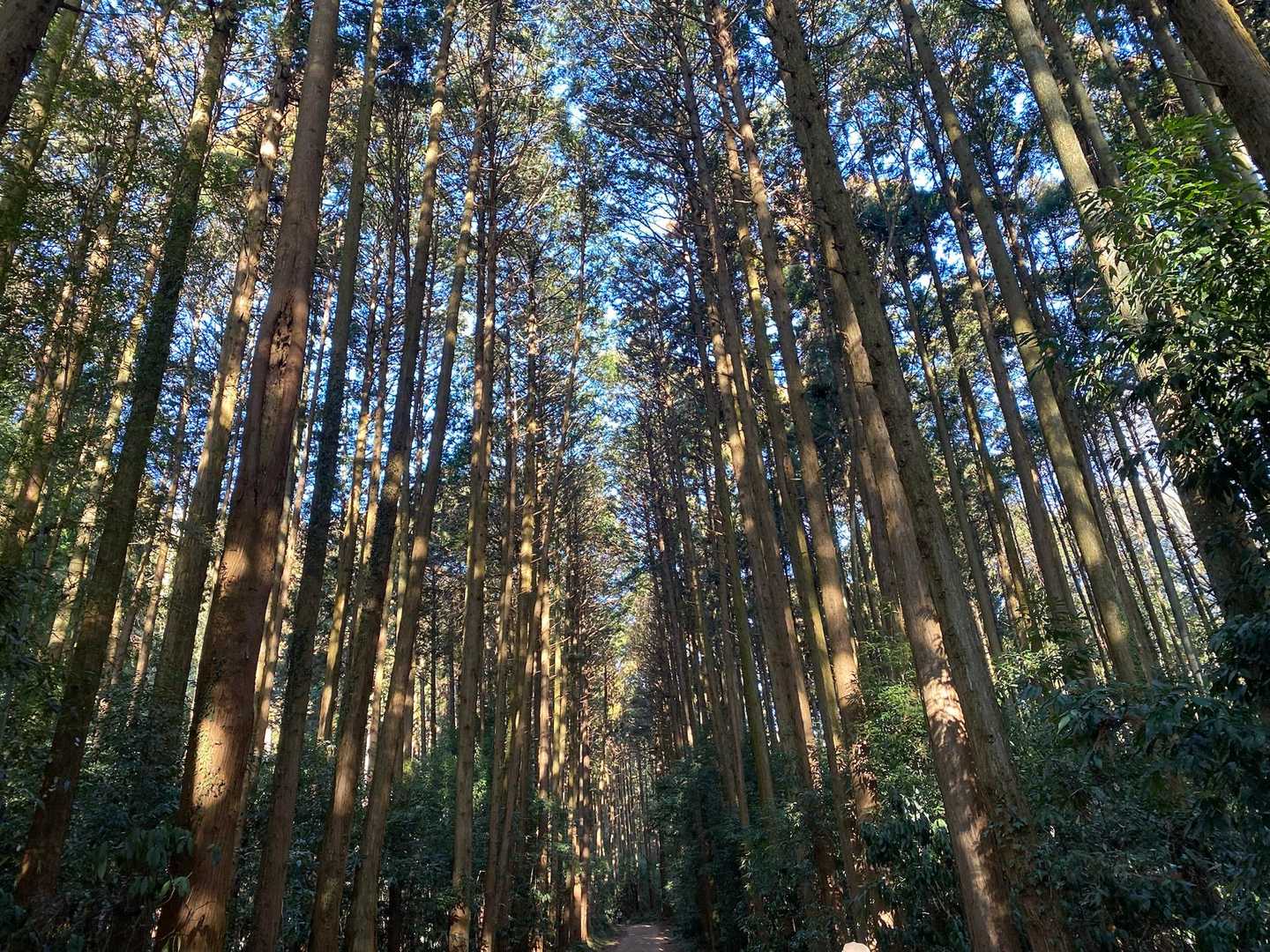 さぁ、出発ー！！