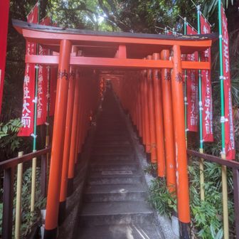 ⛩️⛩️⛩️⛩️ガイジンか写真撮ってた
