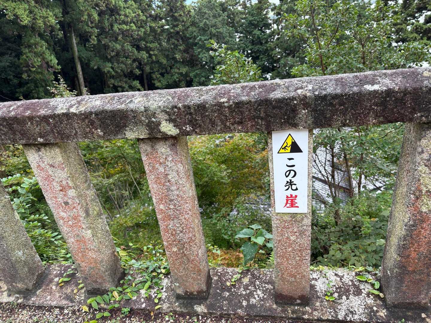 崖、確かにそうですね💦