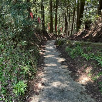 ここから、コンクリート道の参道が約1km続きます😕