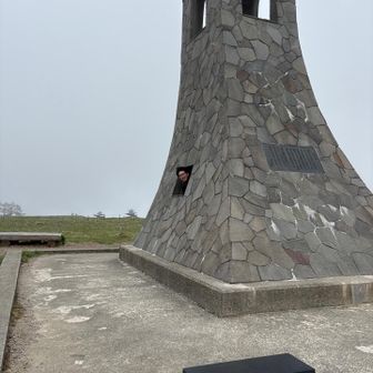 わし