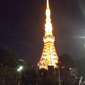 ユーザーぽんぽこりん