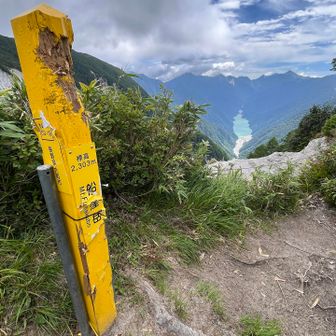 船窪岳山頂。ここもカジカジ