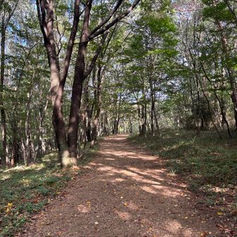 走り出したくなる道…なので、ココから走りました！🏃‍♂️💨