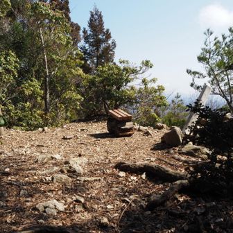 愛宕山三角点はこんなでした。