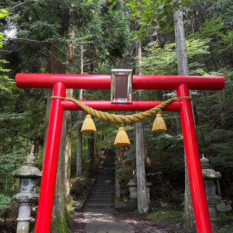曇りで涼しい。