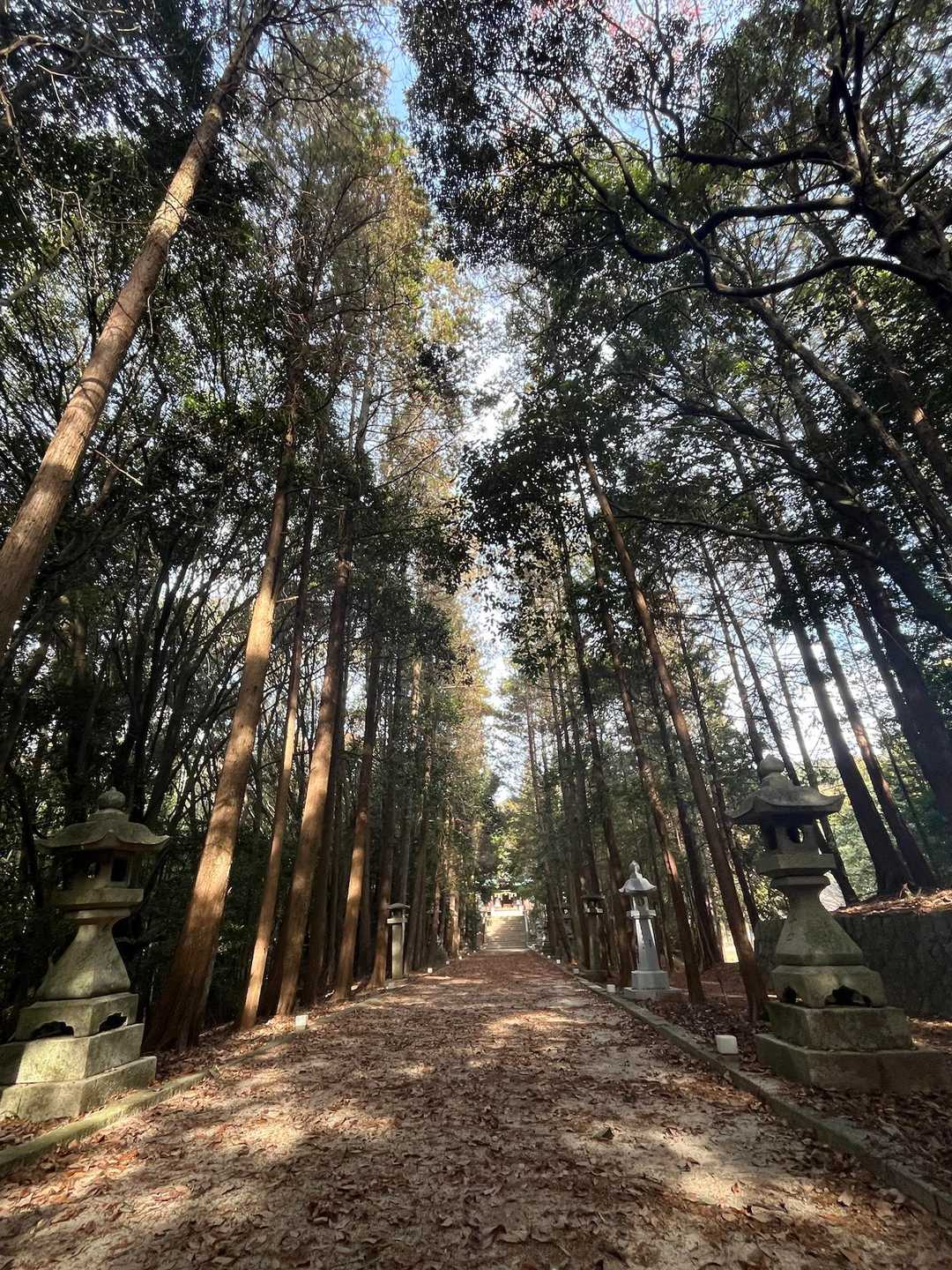 静かな参道✨