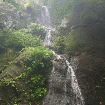 滝が現れるも「シャーではなくザー🌊」っとなかなかの見応え🤔