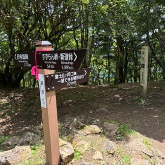 黒岳山頂なう🤗