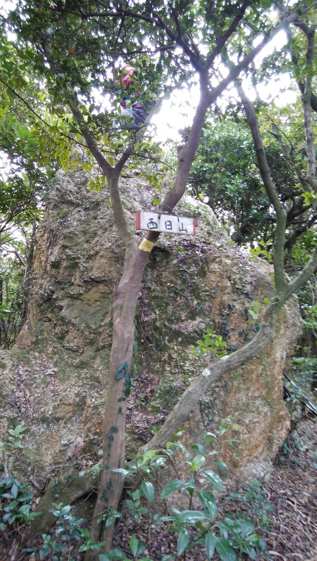 岩があったら登る人
さる年生まれです