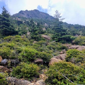 八巻山へ向かいます…難所コースって書いてたけど　まっいいか😅