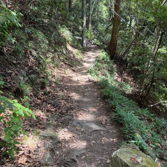 やっと平坦な道になりました