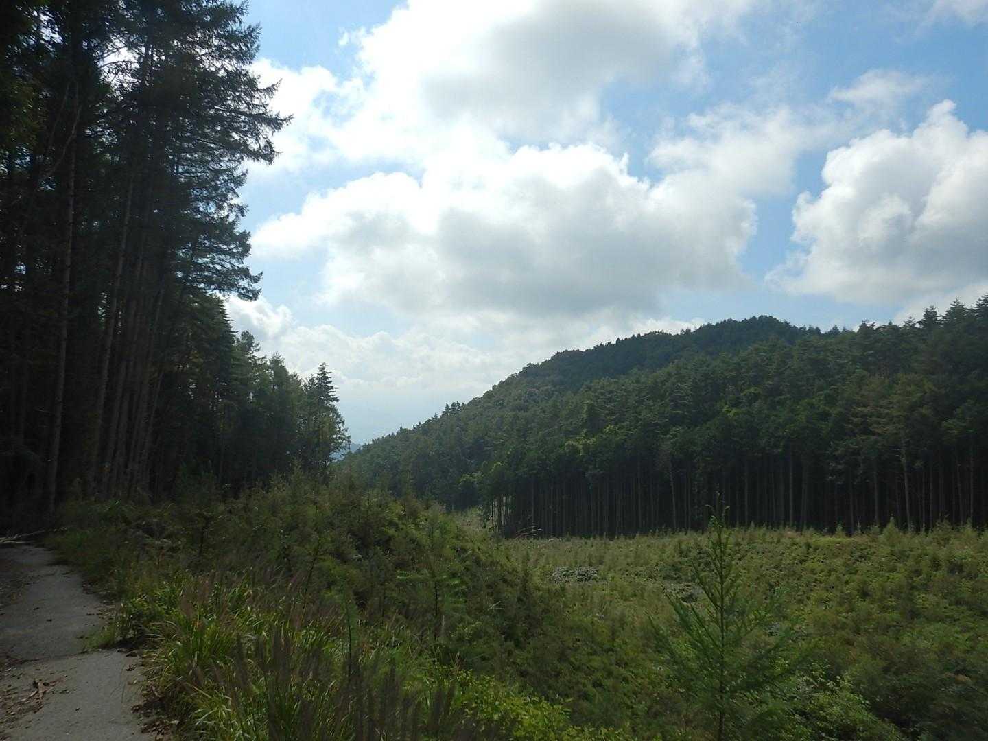小楢山（フフ山梨登山口）＜母恋し道＞の写真