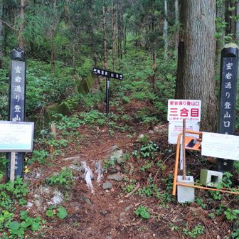 密岩登山口から再び入山！