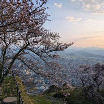本日　先を急ぐので