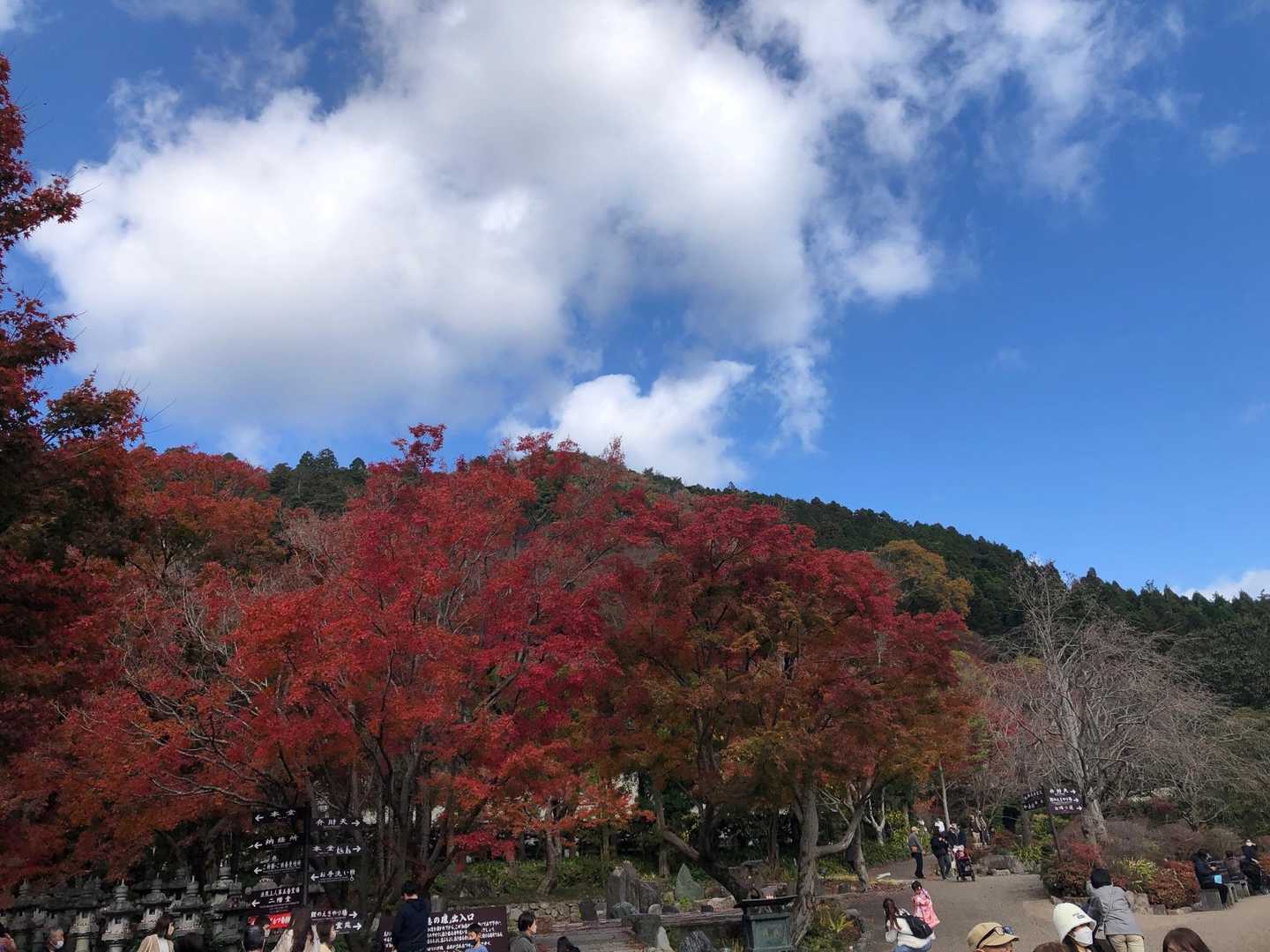 外院バス停-最勝ヶ峰-石子詰登山口-阪急箕面駅 縦走コースの写真