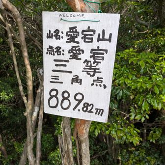 愛宕山山頂到着〜✨
