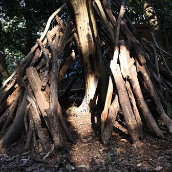 誰かが建てた秘密基地👏