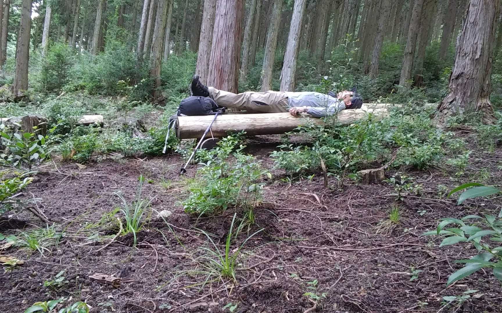 というわけで、横になってみました🗿セミうるさいわ😁🌀