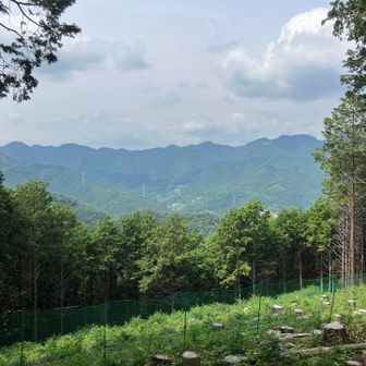 西～南西側も開けている。
向こうの高い山脈は関八州見晴台がある所らしい。
こうしてみると立派な山容だ。