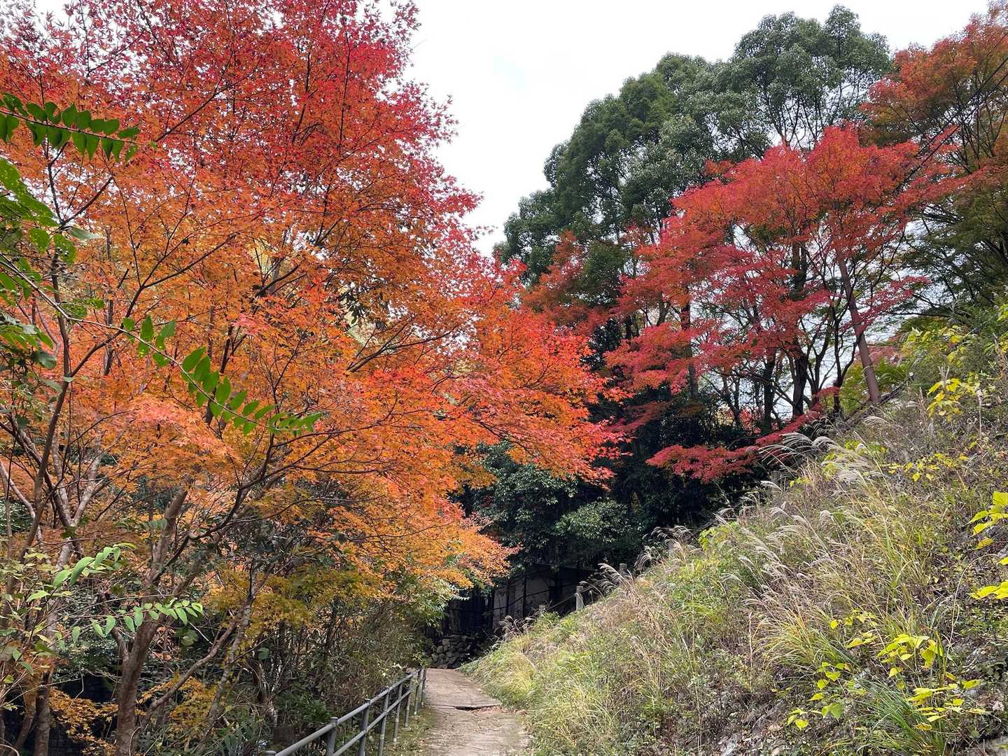 新神戸駅-滝山城跡登山口 縦走コースの写真