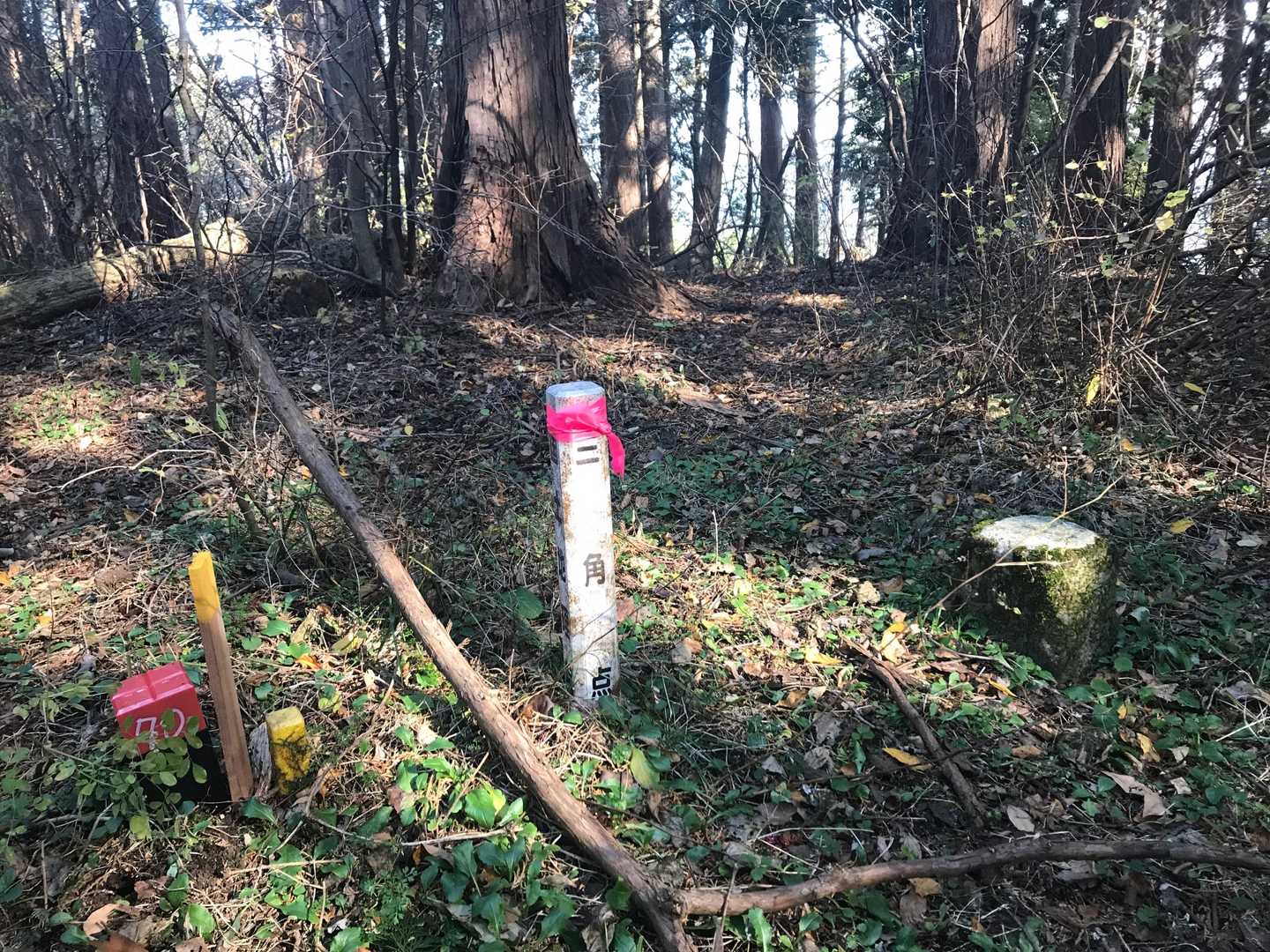 三角点マークに向かって直登？したらちゃんとありました。
三角山の三角点🥰