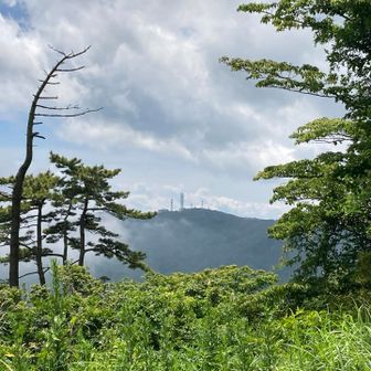 高鈴山が見える