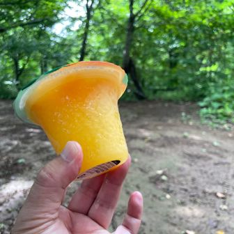 【オマケ】

今回の山頂デザートは、冷凍みかんゼリー♫

保冷剤に包んで持ってくると登頂した頃には半溶け状態になっているので食感最高。

皆さんも登山のお供にぜひどうぞo(^o^)o