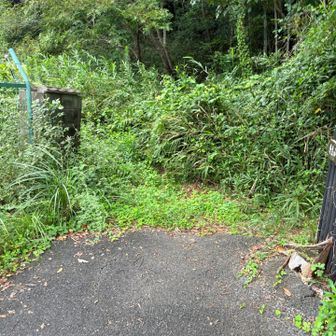登山口・・・  もさもさ