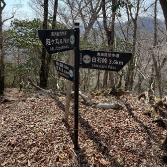 モロクボ沢ノ頭
ここを左に進み畦ヶ丸へ向かいます🚶
直進方向は山中湖に続く道✨