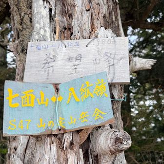 希望峰着！振り返ると赤石山脈が綺麗に見えます😊

八紘嶺からも歩けるのね。。