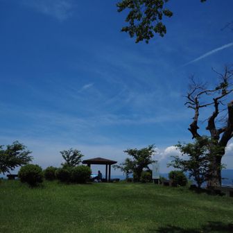 いい天気
