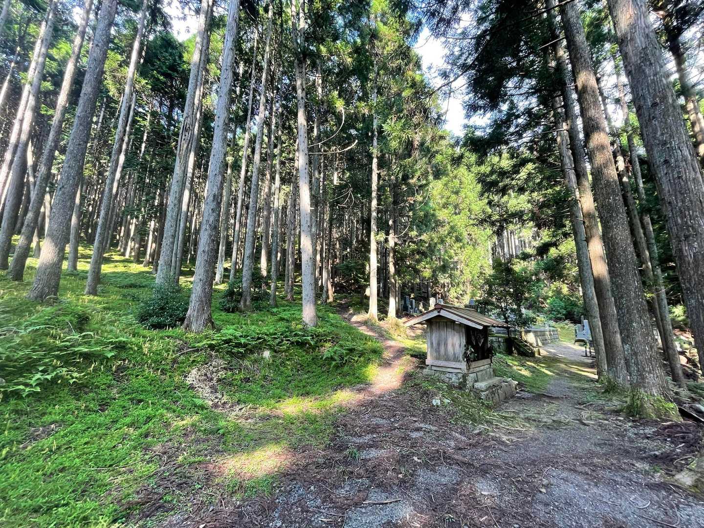 登山口です。行きます！
