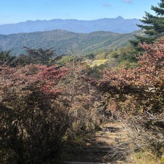 山頂からは絶景を楽しみながらの下山ができます😆✨