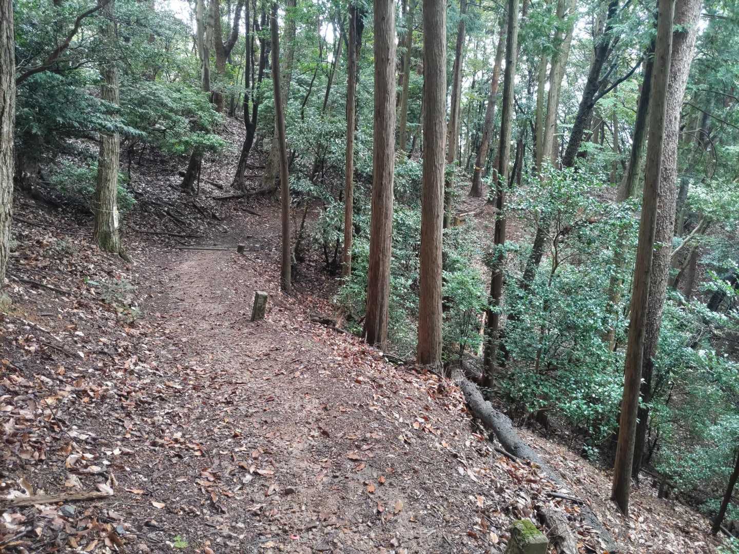 凄く整備されてて歩きやすい😊