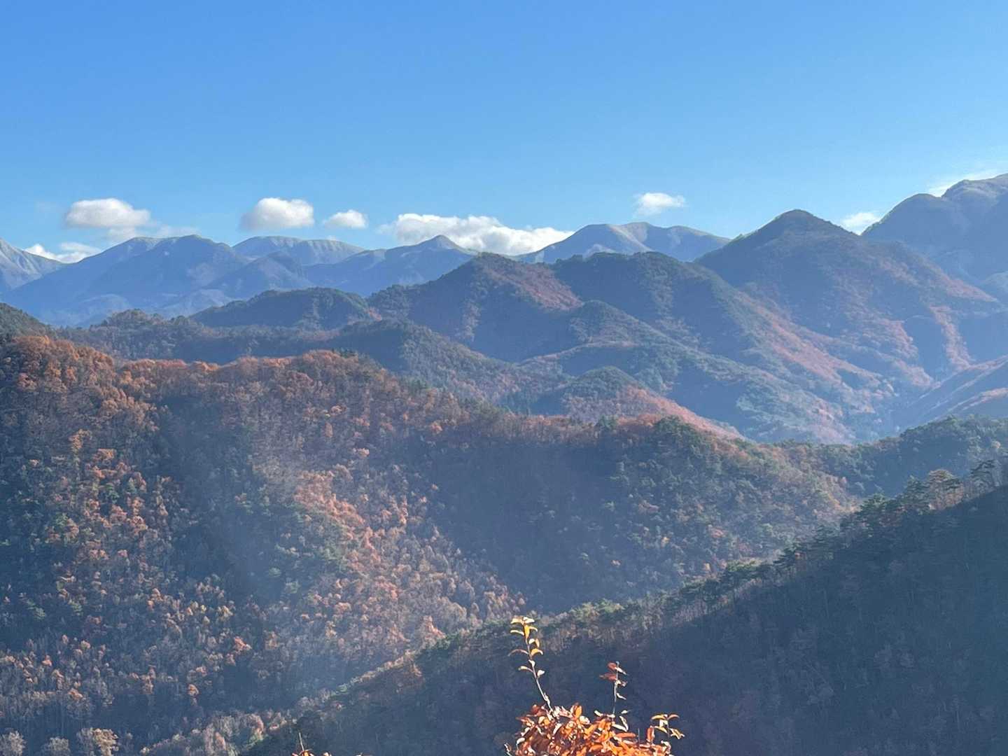 小菰石山-大岡山 往復コースの写真