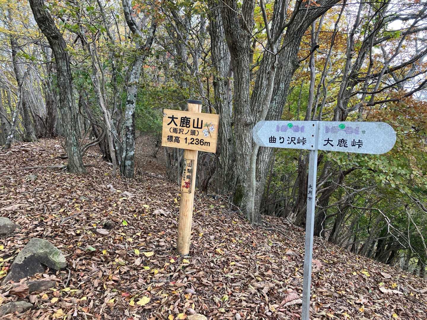 眺望はないですが…
トレーニングしたかったのかな？