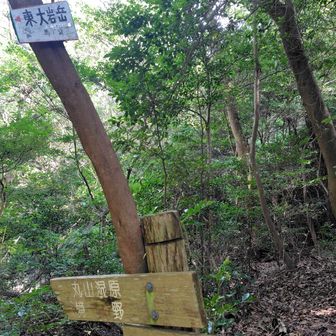 峠の交点です
暑くて汗 ドバドバ
大岩ケ岳に行くのは止めて谷筋を下りました
