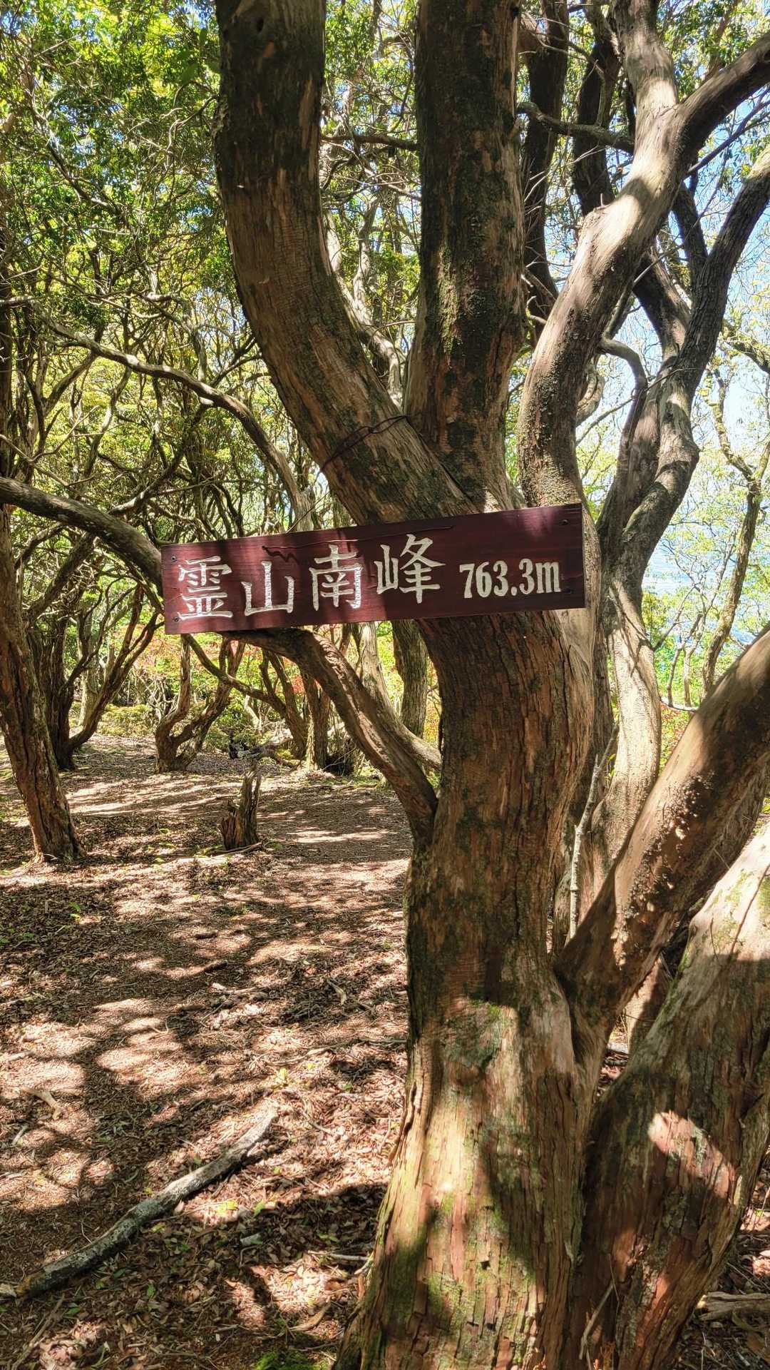 霊山登山口-霊山-みはらしコース入口 周回コースの写真