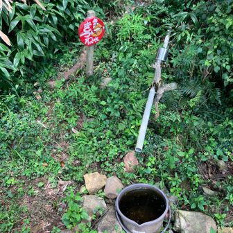 水場【枯れとる】