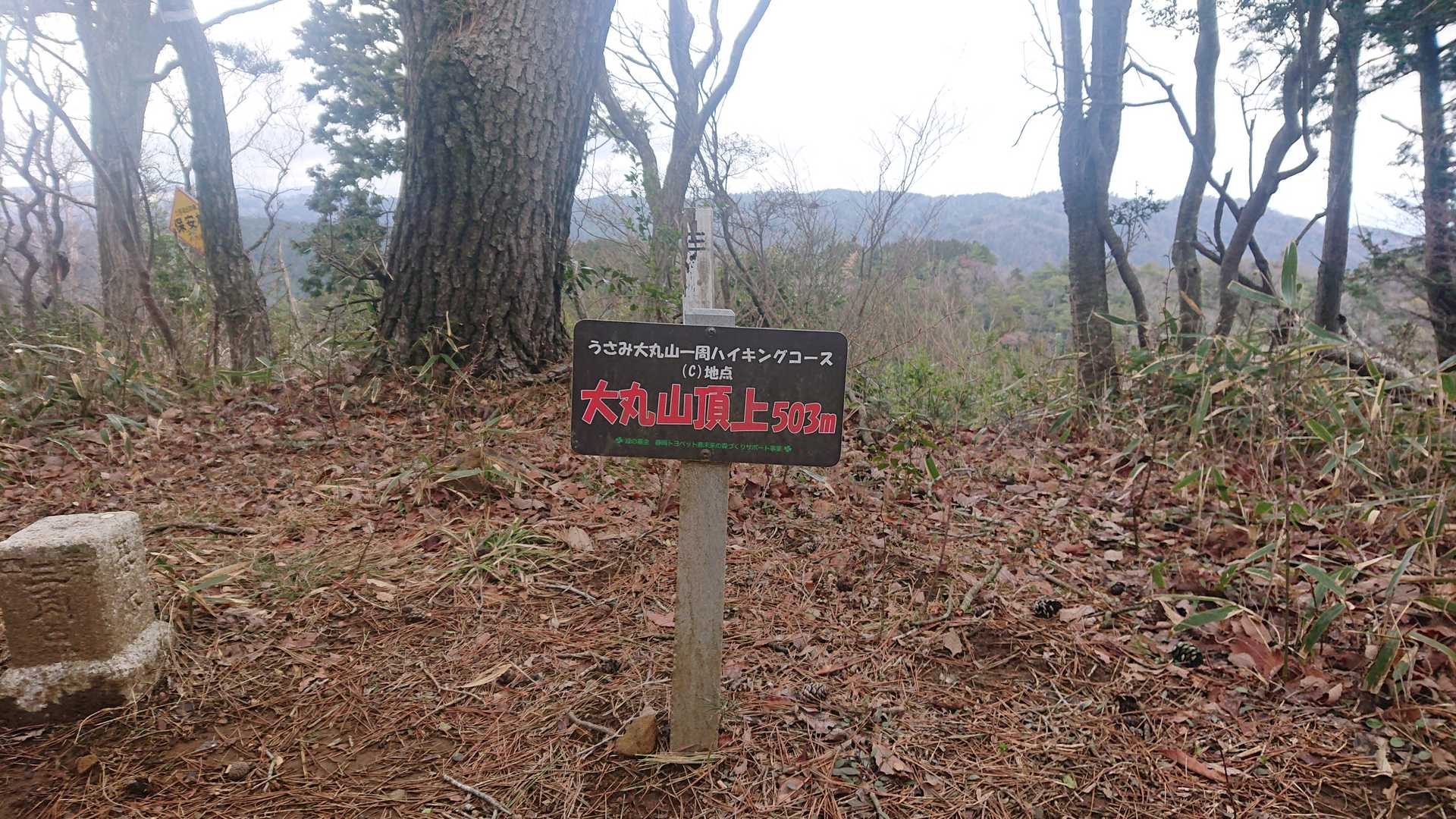 大丸山 山頂✴️
