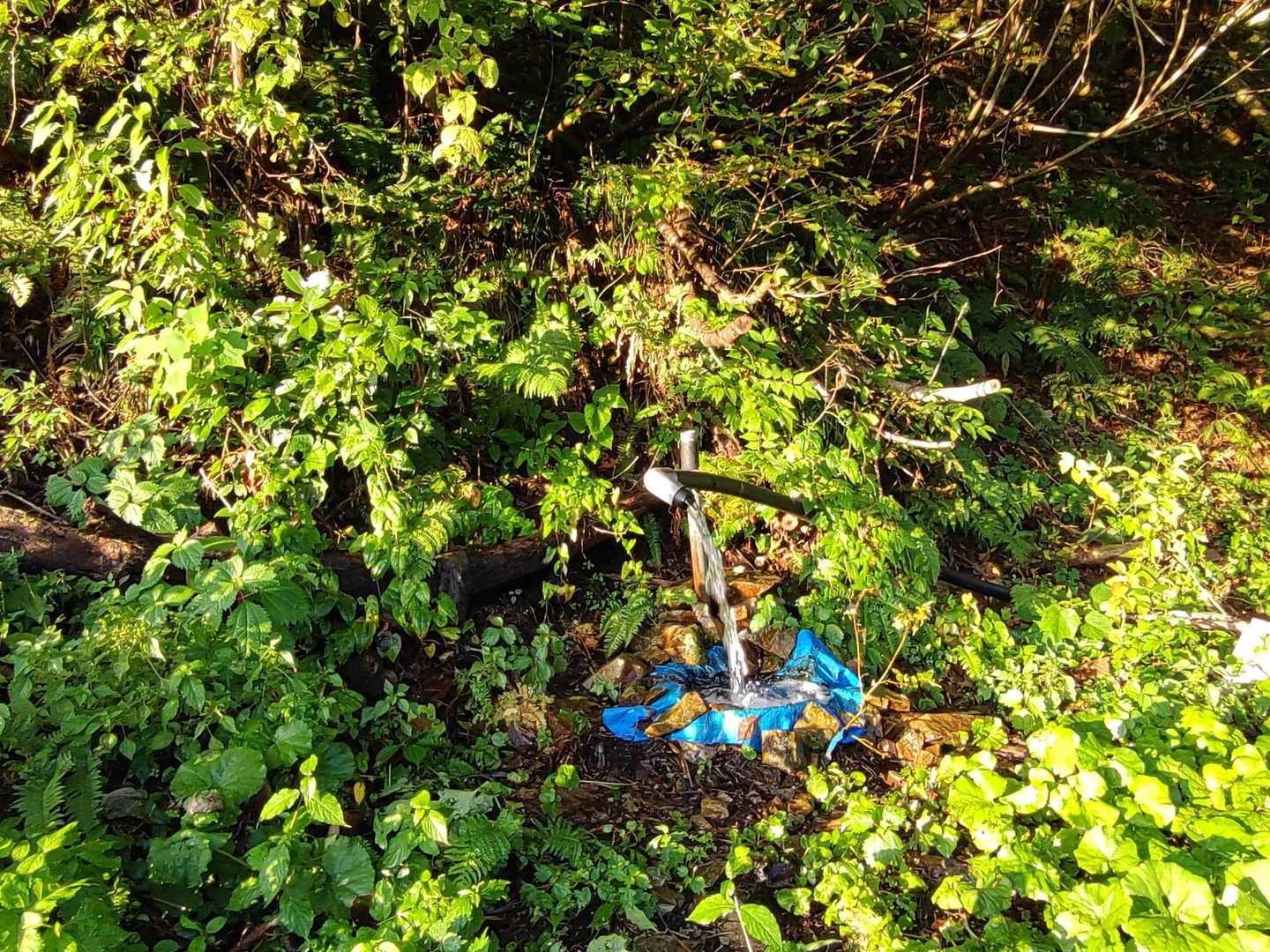 登山口脇に水場