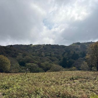 さあ引き返しますか