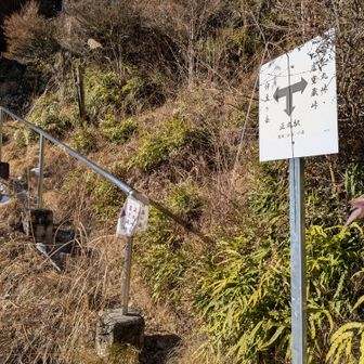 茶屋の直下で、駅と伊豆ヶ岳方向に分岐。