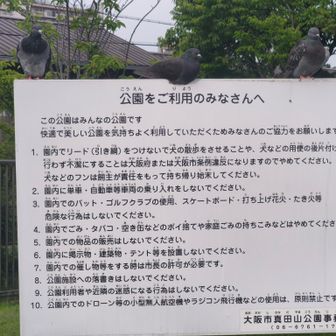 ドバト